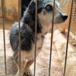 Cano_IMG_20260425_131159