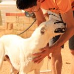 Charlie_IMG_6542