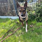 Chispa_2026-03-29 at 17-41-13