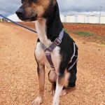 Chispa_IMG_20260124_121335