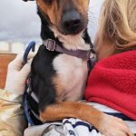 Chispa_IMG_20260124_121348