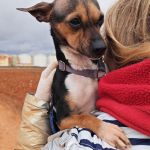 Chispa_IMG_20260124_121350