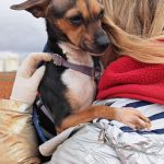 Chispa_IMG_20260124_121411