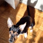 Choco_image04