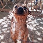 Choco_IMG_20260426_133413