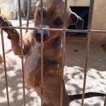 Choco_IMG_20260426_133418