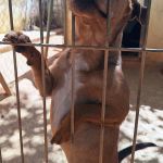 Choco_IMG_20260426_133419