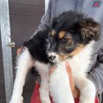 Cloe_IMG_0392