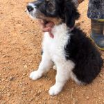 Cloe_IMG_0394