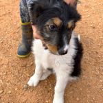 Cloe_IMG_0397
