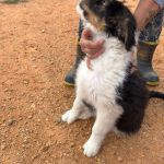 Cloe_IMG_0399