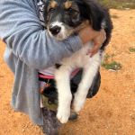 Cloe_IMG_0402