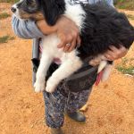 Cloe_IMG_0403