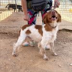 Cody_IMG_1646