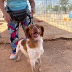 Cody_IMG_1651