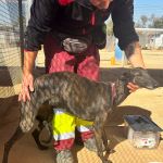 Debra_IMG_2767
