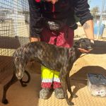 Debra_IMG_2771