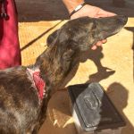 Debra_IMG_2773