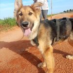 Deisy_IMG-20260409-WA0065