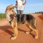 Deisy_IMG-20260409-WA0073