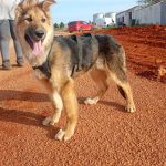 Deisy_IMG-20260409-WA0074