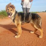 Deisy_IMG-20260409-WA0075