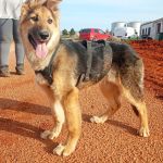 Deisy_IMG-20260409-WA0076