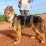 Deisy_IMG-20260409-WA0077