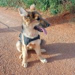 Deisy_IMG-20260409-WA0088