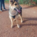 Deisy_IMG-20260409-WA0092