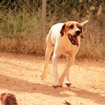 Durky_IMG_5975