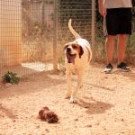 Durky_IMG_6002