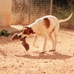 Durky_IMG_6003