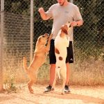 Durky_Tara_IMG_5960