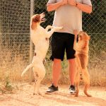 Durky_Tara_IMG_5963