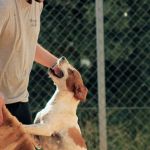 Durky_Tara_IMG_6012