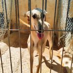 Elda_IMG_20250525_113136