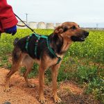 Elfa_IMG_20260425_125346