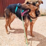 Elfa_IMG_20260502_132345