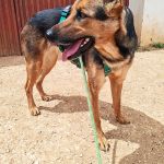Elfa_IMG_20260502_132347
