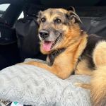 Elliot_2026-04-14 at 20-19-27