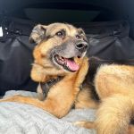 Elliot_2026-04-14 at 20-19-33