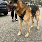 Elliot_ 2026-04-14 at 20-20-22