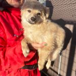 Emil_IMG_2525