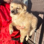 Emil_IMG_2526