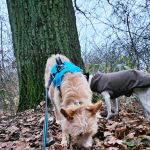 Eneko_20251220_161415