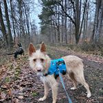 Eneko_20251220_161558