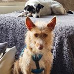 Eneko_20251221_113235