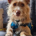 Eneko_20251221_113337