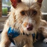 Eneko_20251221_132654